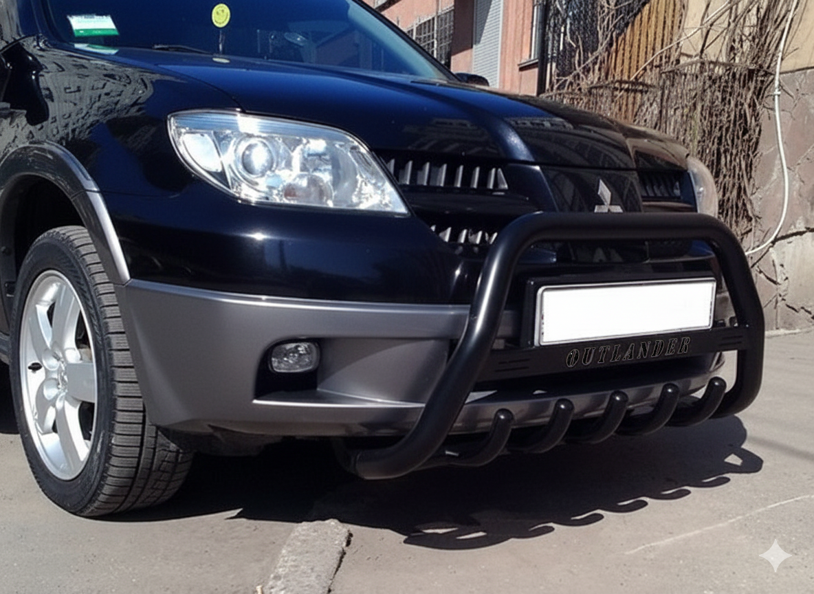 Кенгурятник WT004 Black (нерж.) 3