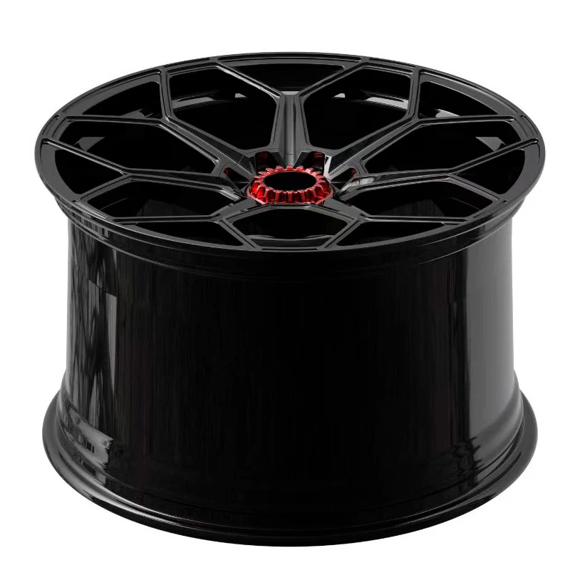 Ковані диски OEM R20 R21 V10 (4 шт) 3