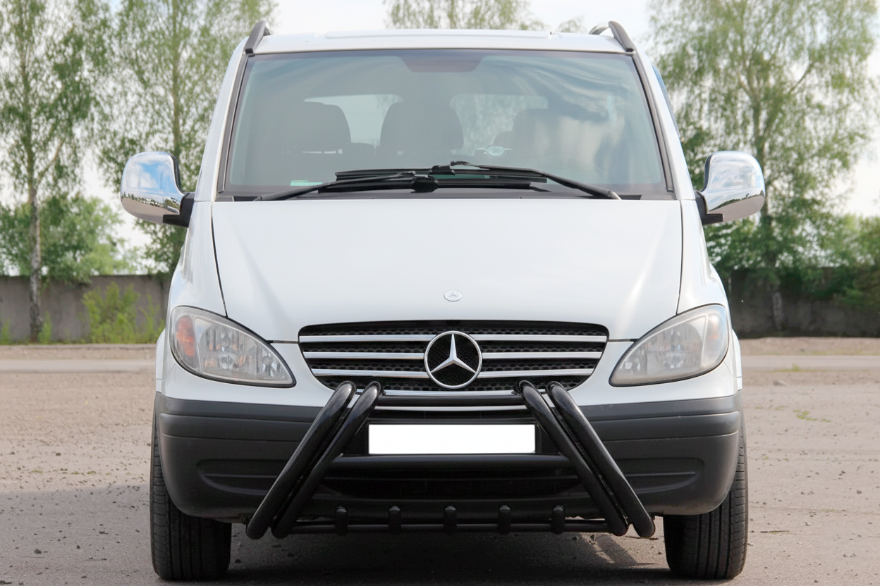 Кенгурятник Kelebek WT011 Black (нерж.)