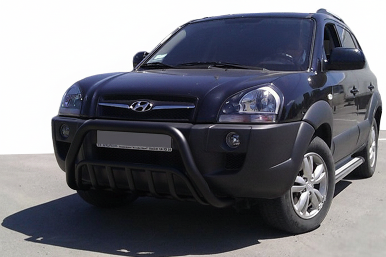 Кенгурятник WT002 Black (нерж.)