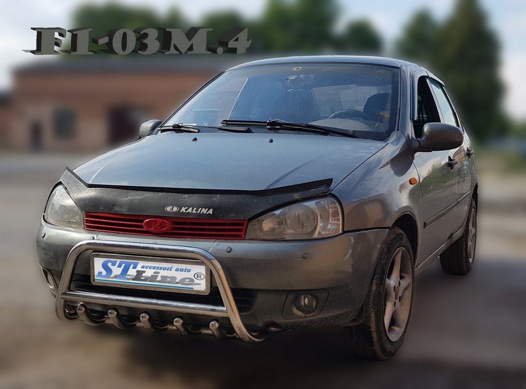 Кенгурятник WT003 (60мм, нерж) 3