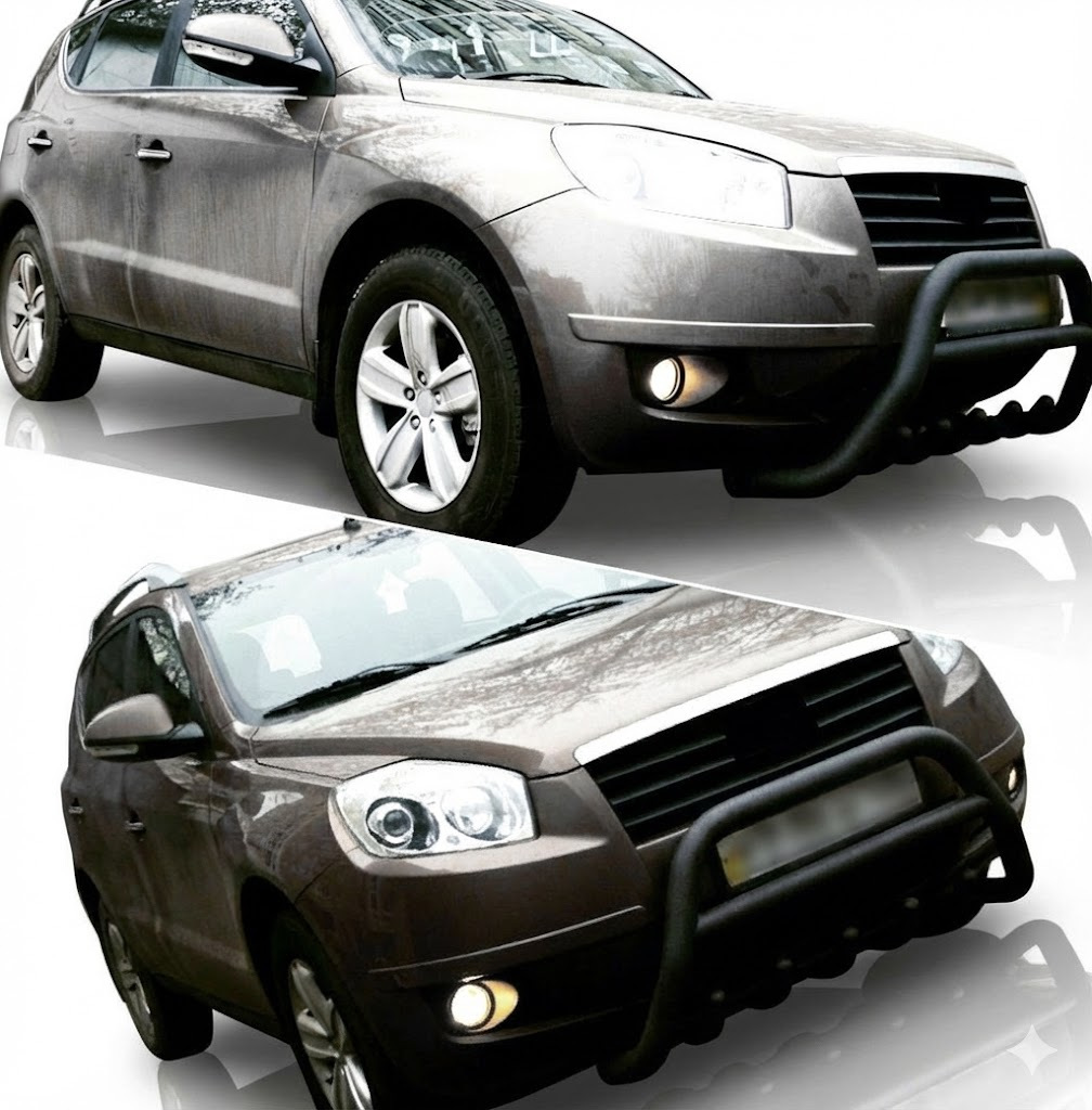 Кенгурятник WT003 Black (нерж.)
