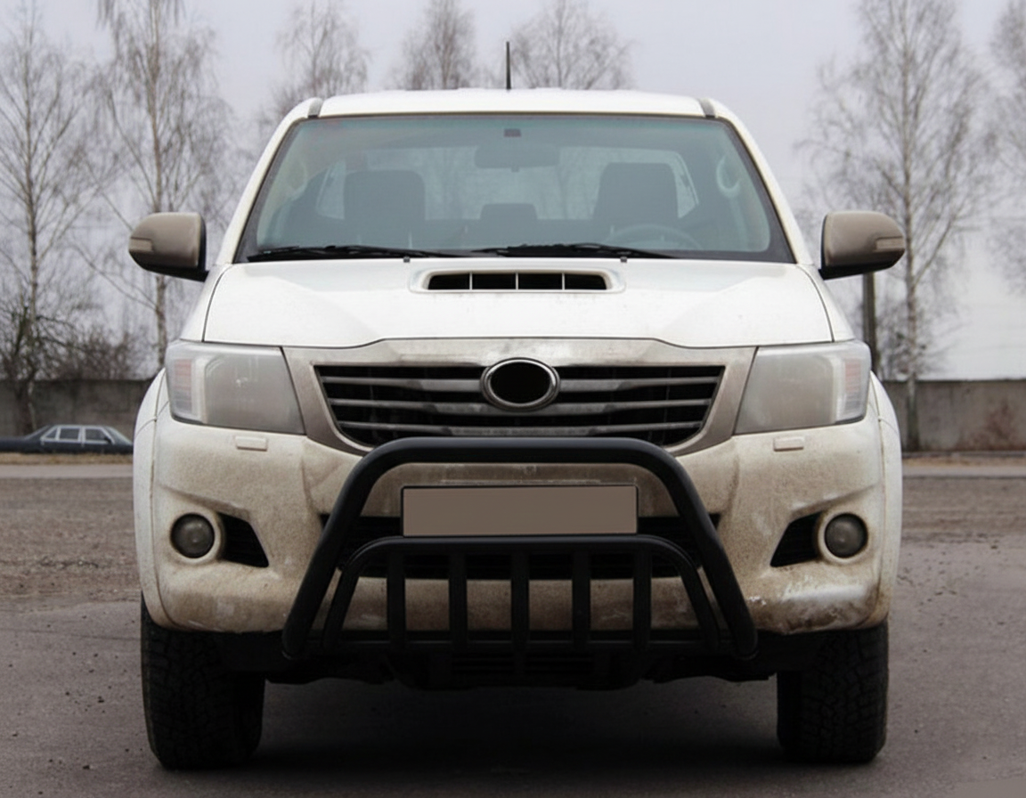 Кенгурятник WT002 Black (нерж.)