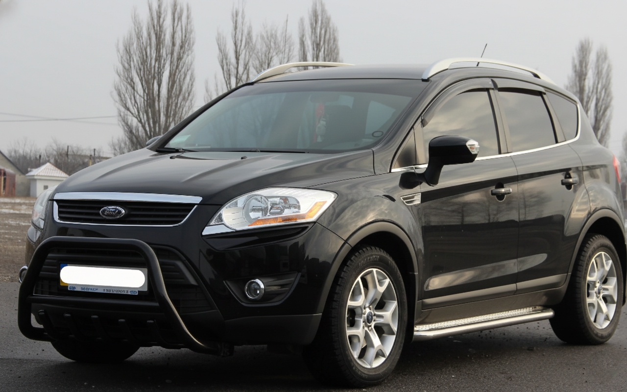 Кенгурятник WT003 Black (нерж.)