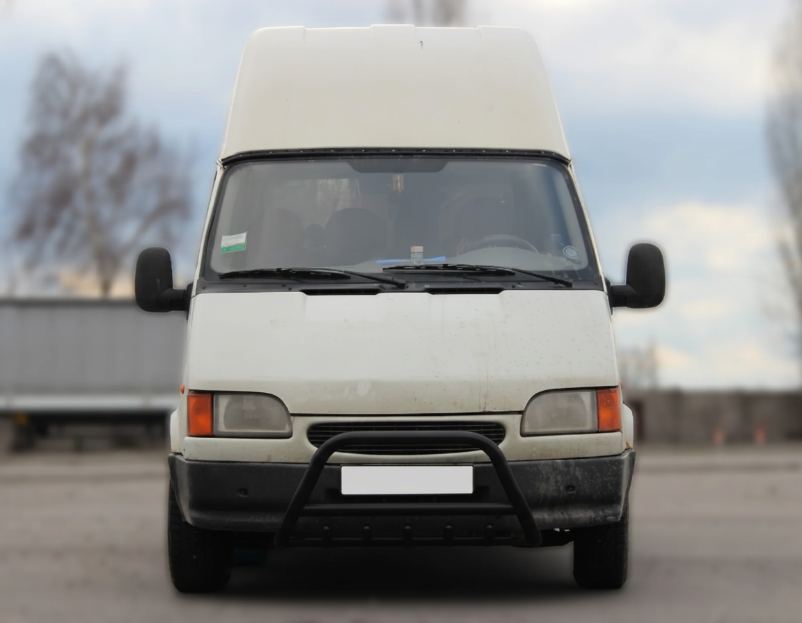 Кенгурятник WT003 Black (нерж) 3