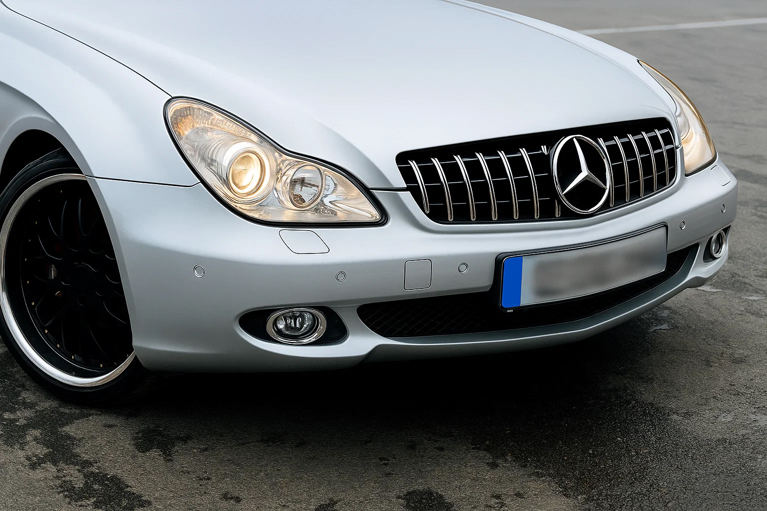 Передня решітка (2008-2010, GT Panamericana)