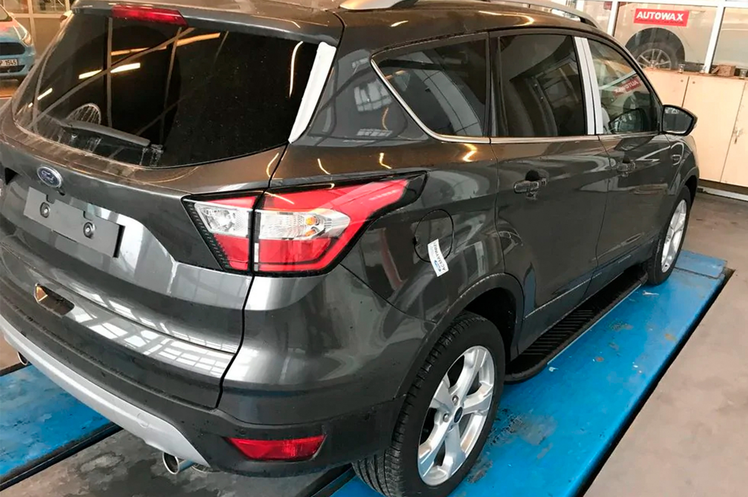 Бокові пороги Bosphorus Grey (2 шт., Алюміній) З чорним листям на дверях 6