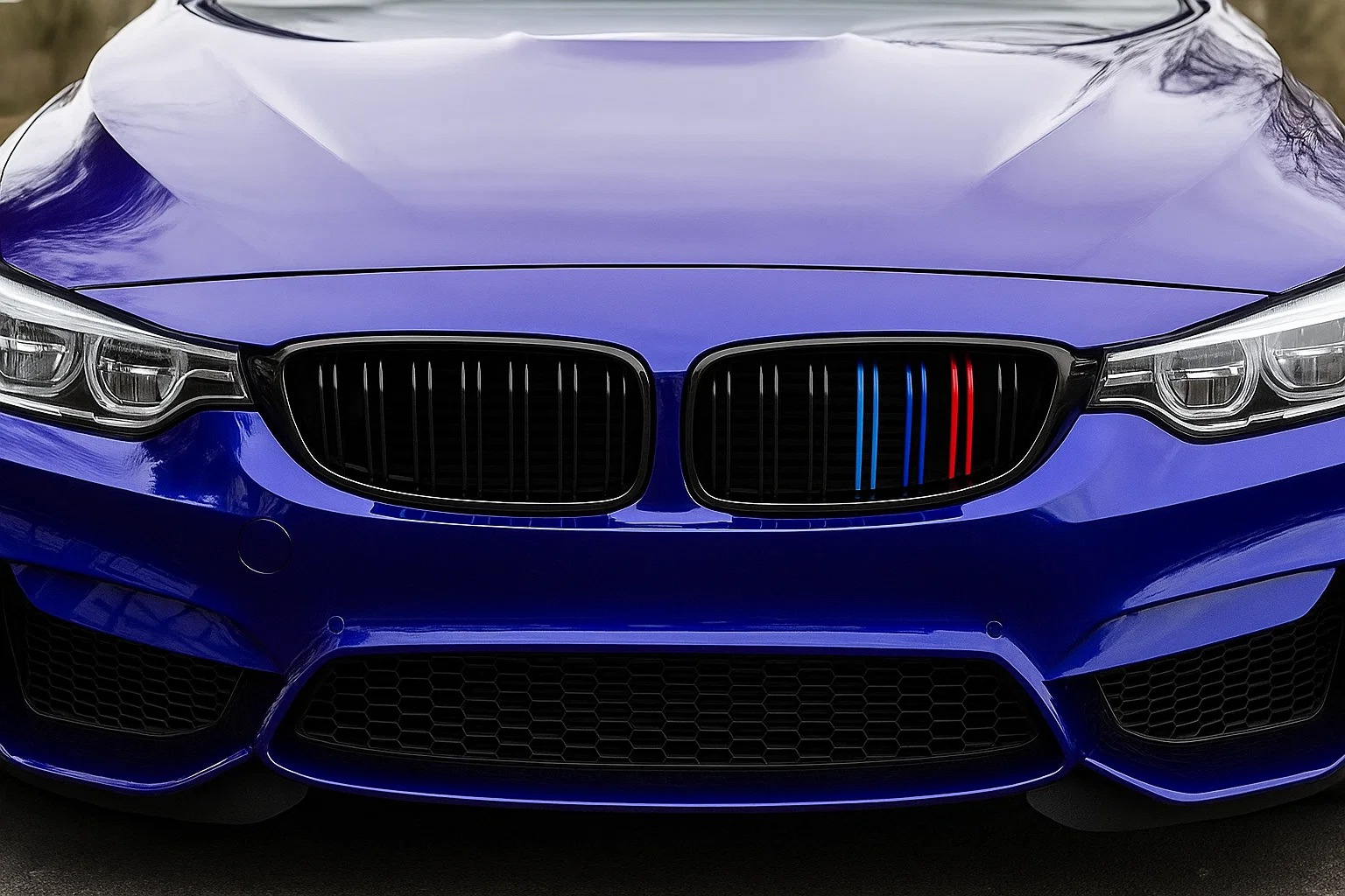 Ніздрі M-Look (для M3 F80, M-Color) 2