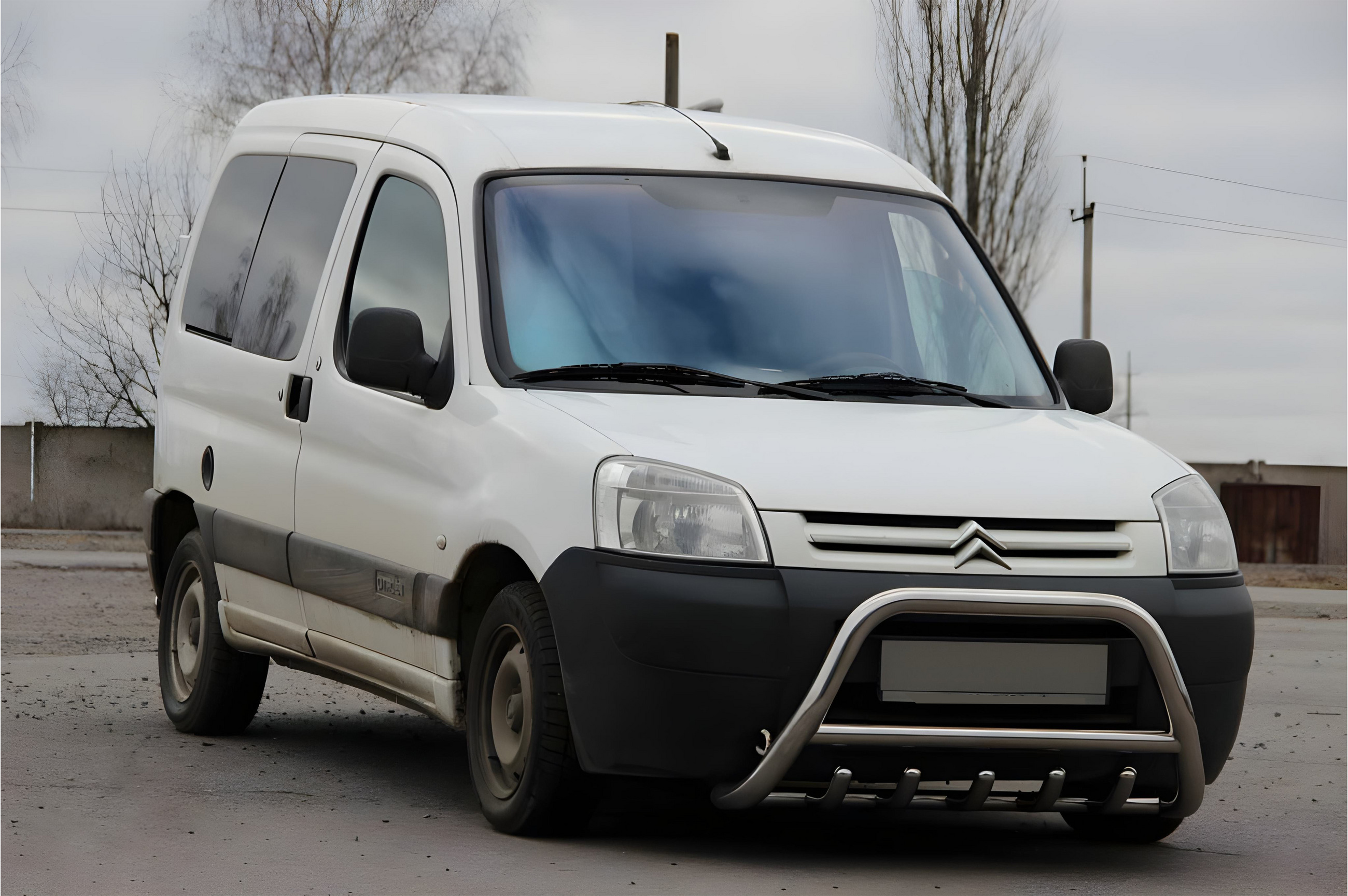 Кенгурятник WT003 (нерж.) 51 мм