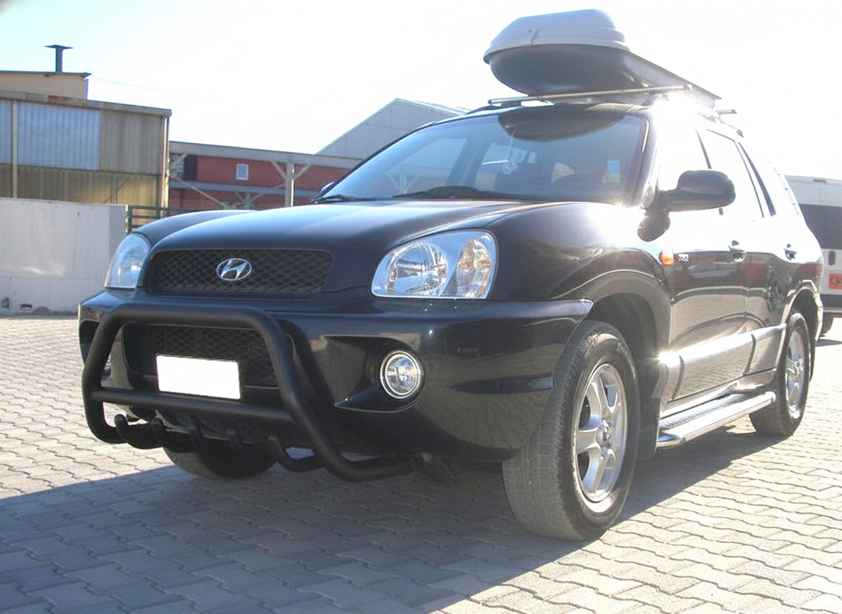 Кенгурятник WT003 Black (нерж.)