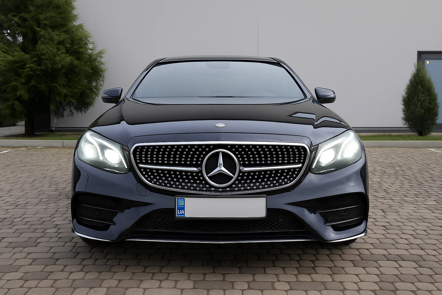 Передня решітка Diamond Silver (для Avantgarde і AMG-Line, 2013-2016) 6