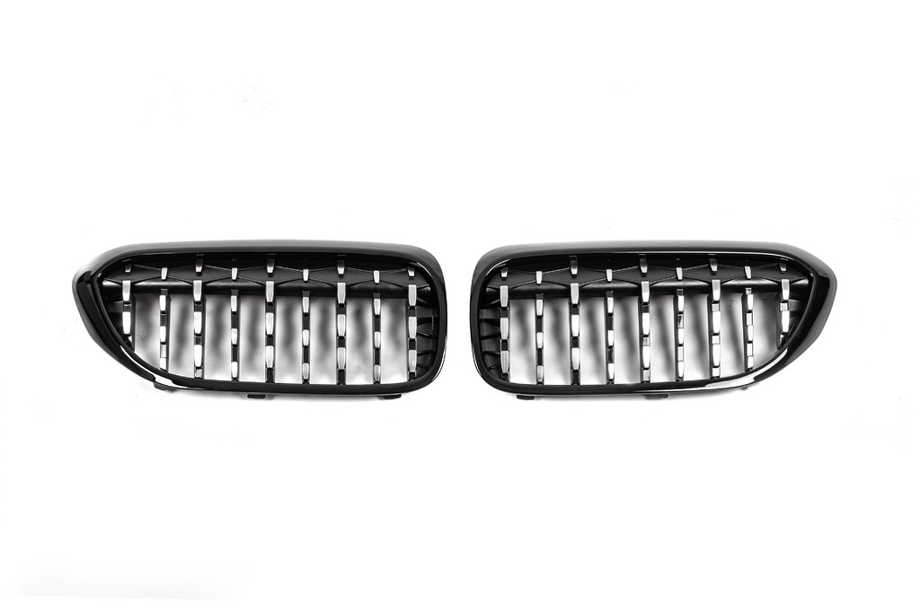 Ніздрі Diamond Silver V2 (2017-2020, Чорна окантовка) 2