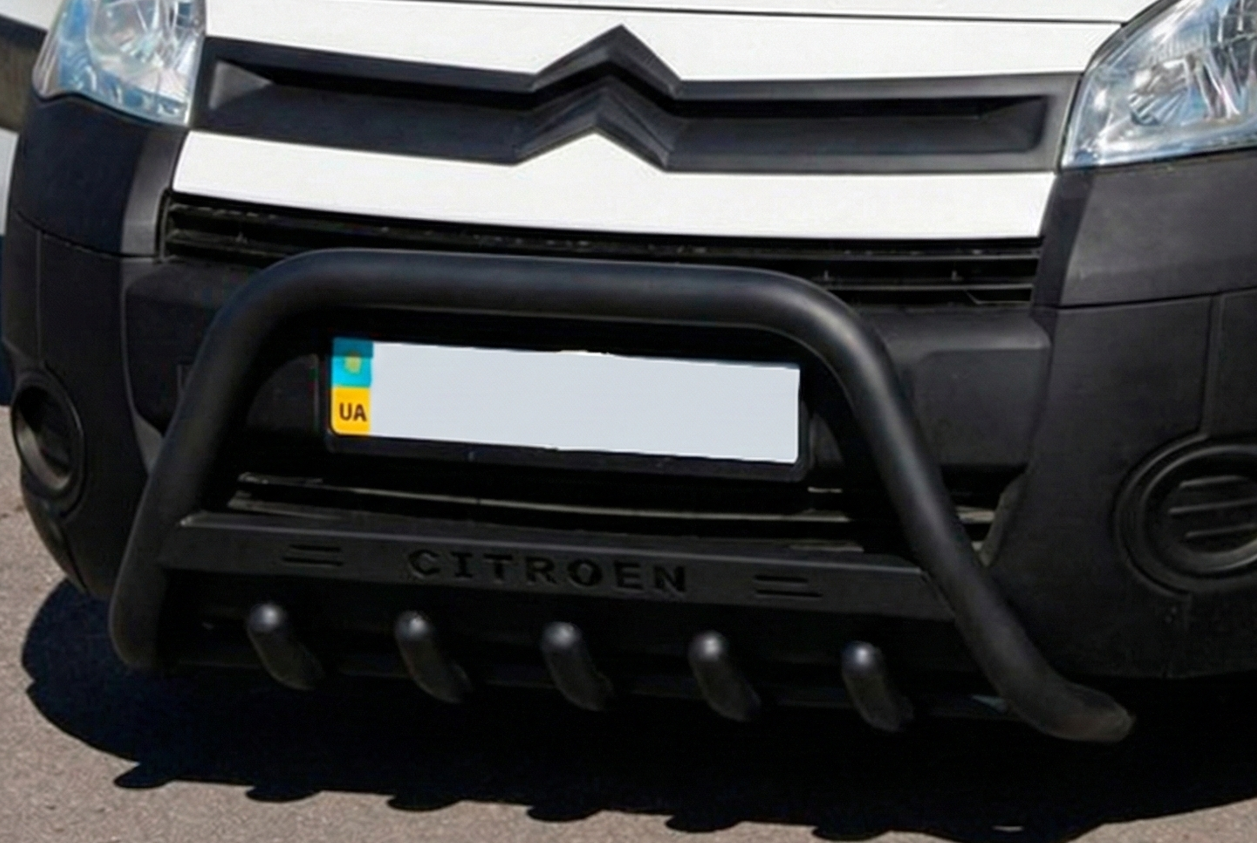 Кенгурятник WT004 Black (нерж)