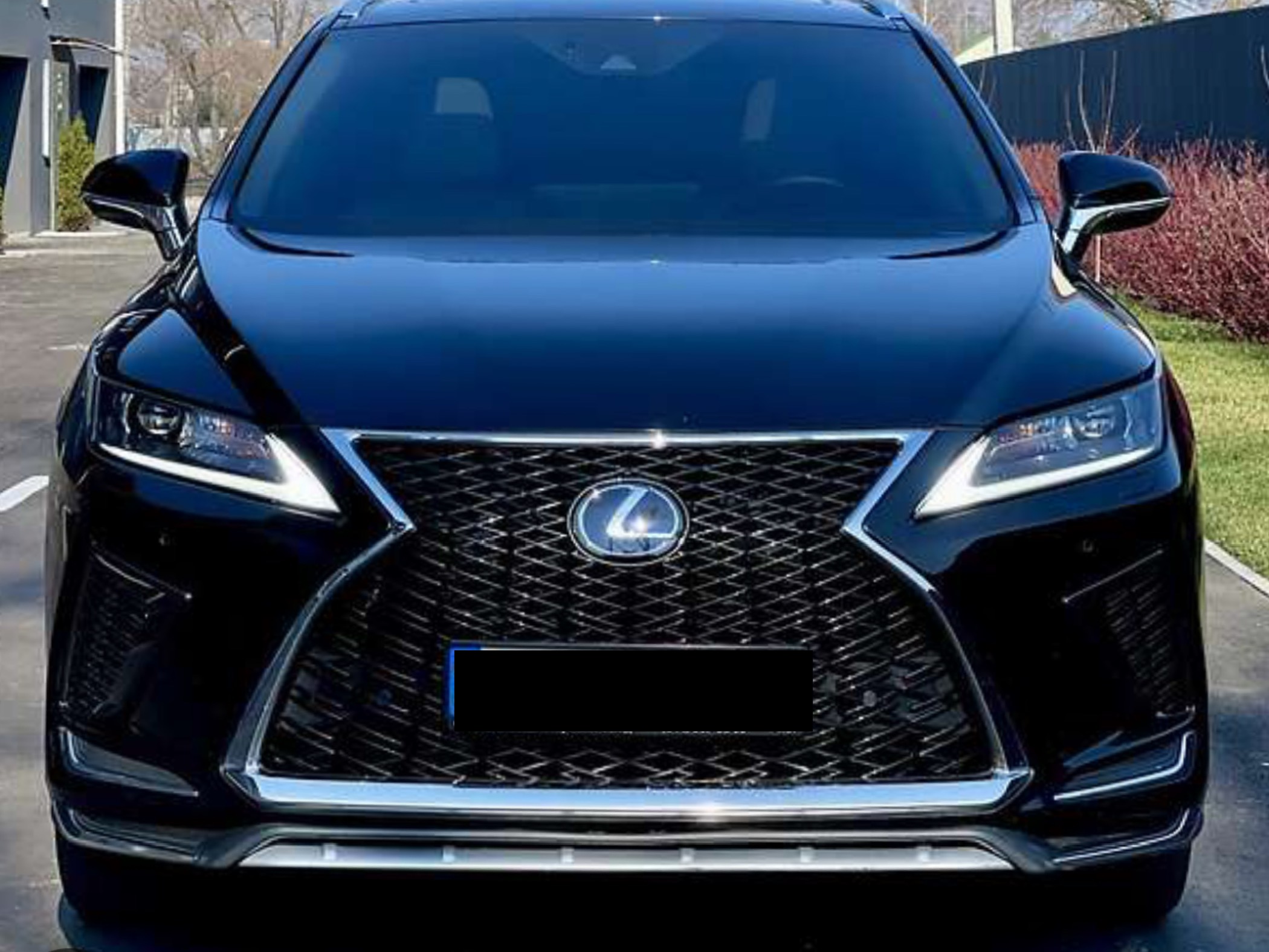 Решітка радіатора F-Sport Lexus RX 2019+ 6