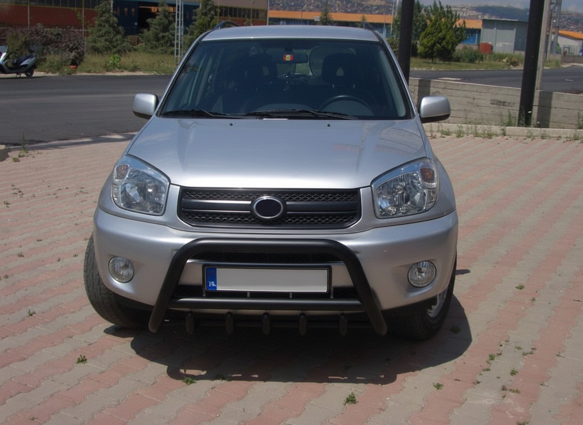 Кенгурятник WT003 Black (нерж)