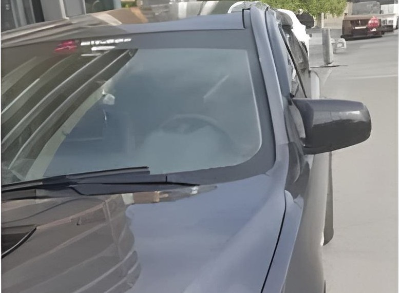 Накладки на дзеркала BMW-Style (2 шт)
