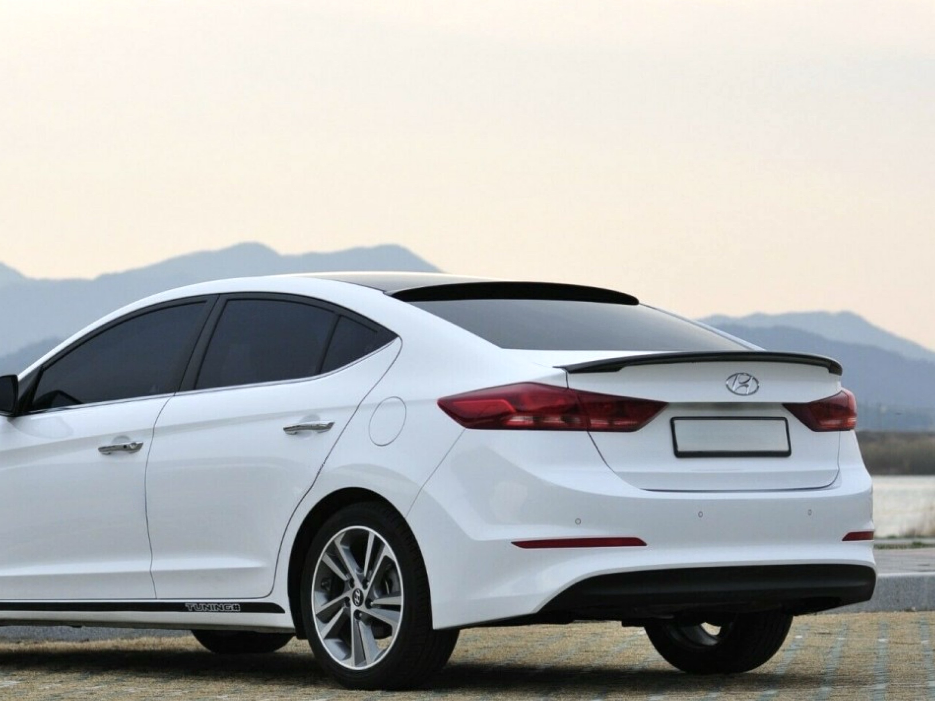Спойлер лип багажника Hyundai Elantra AD 2016-ABS пластик, колір чорний глянець 3