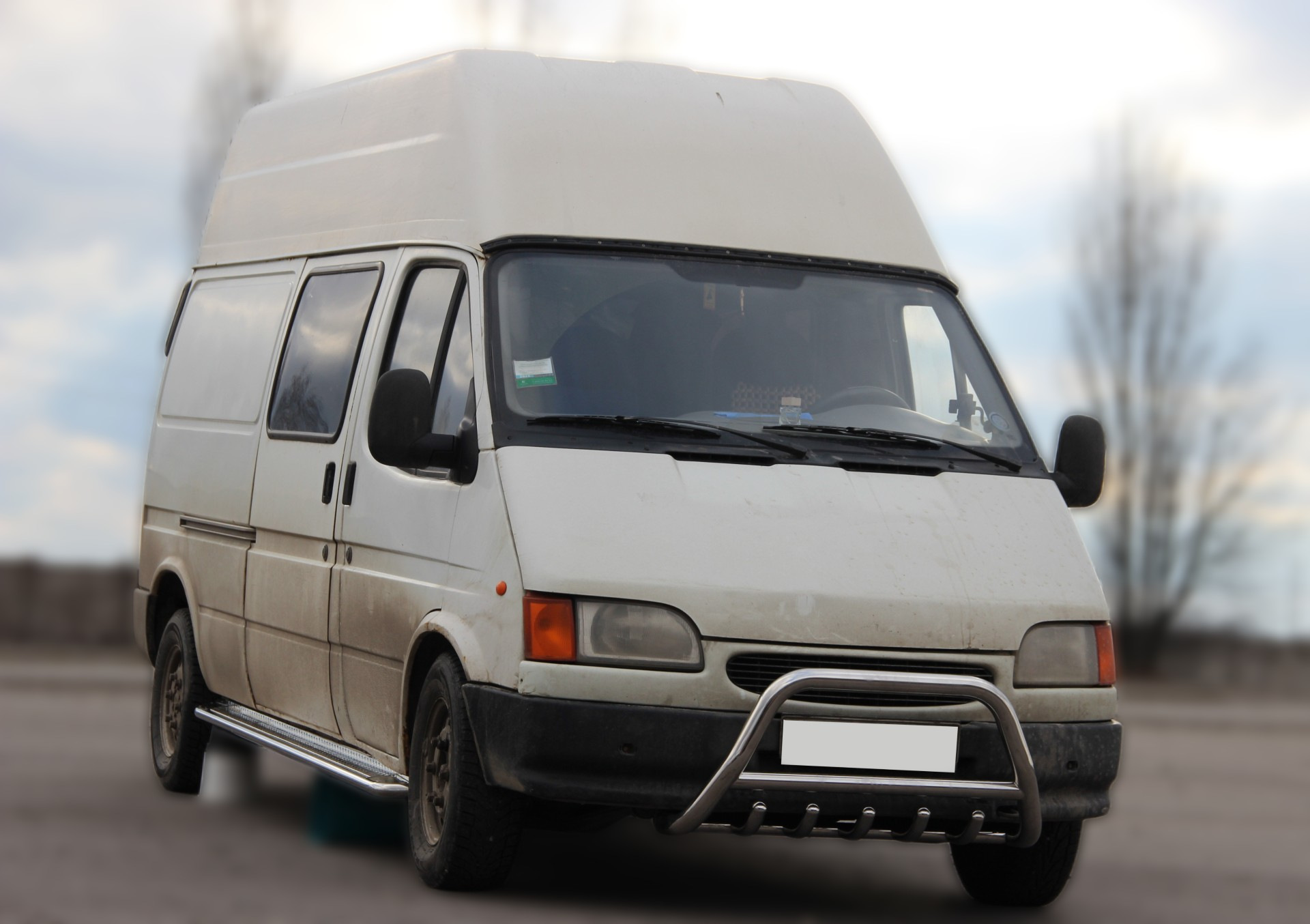 Кенгурятник WT003 (нерж)