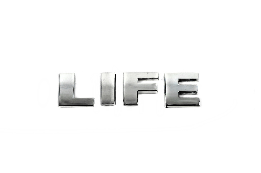 Напис Life (під оригінал) 2