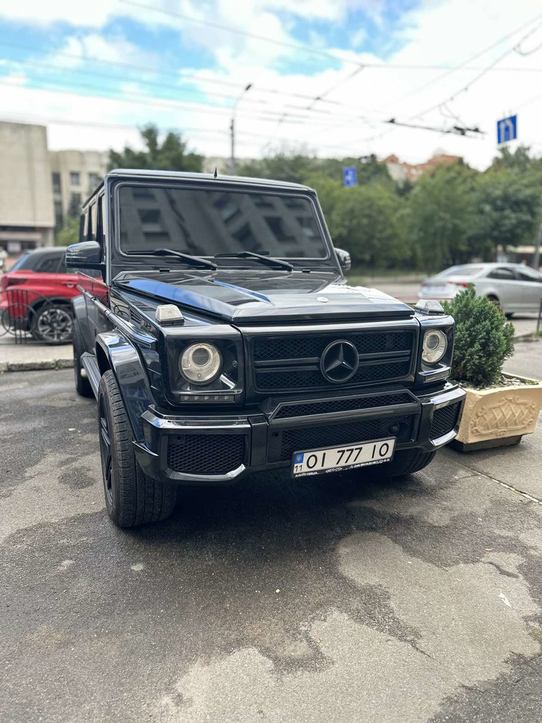 Будиночок на передній бампер (чорний мат, G65) 4