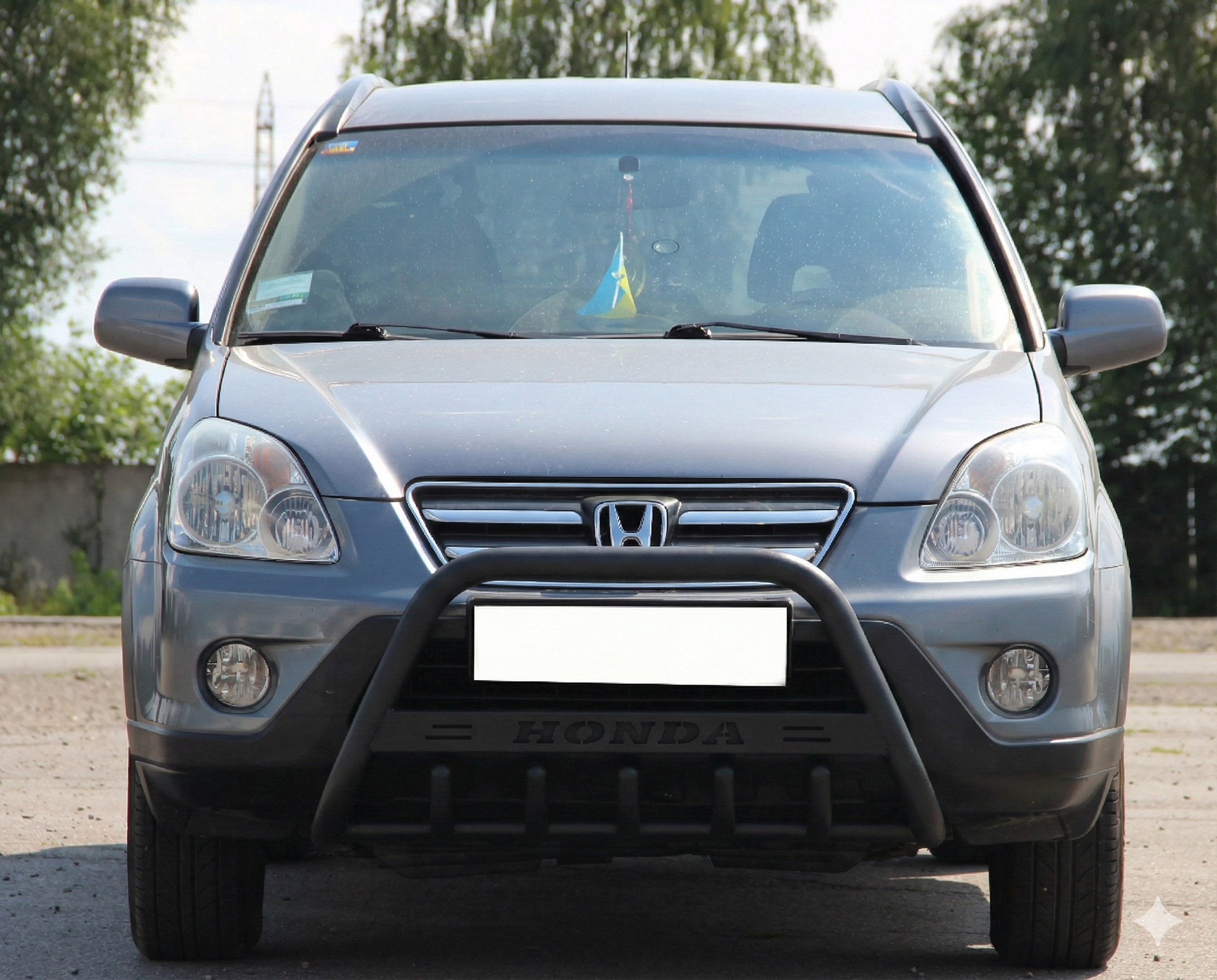 Кенгурятник WT004 Black (нерж)