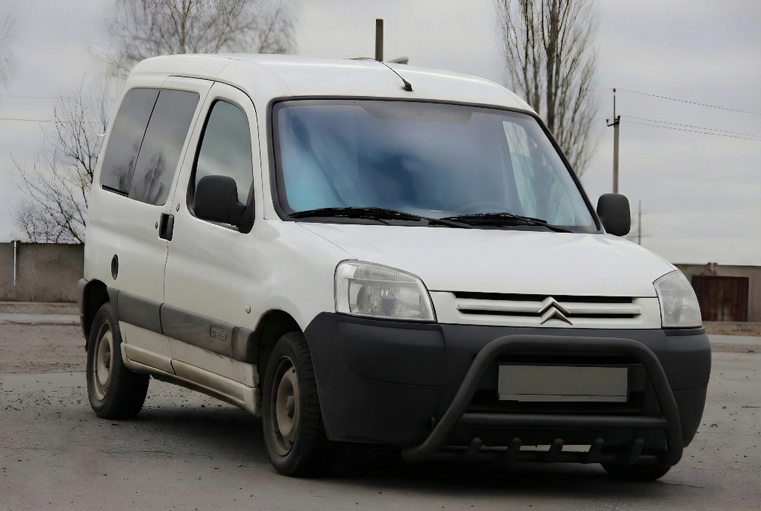 Кенгурятник WT003 Black (нерж)