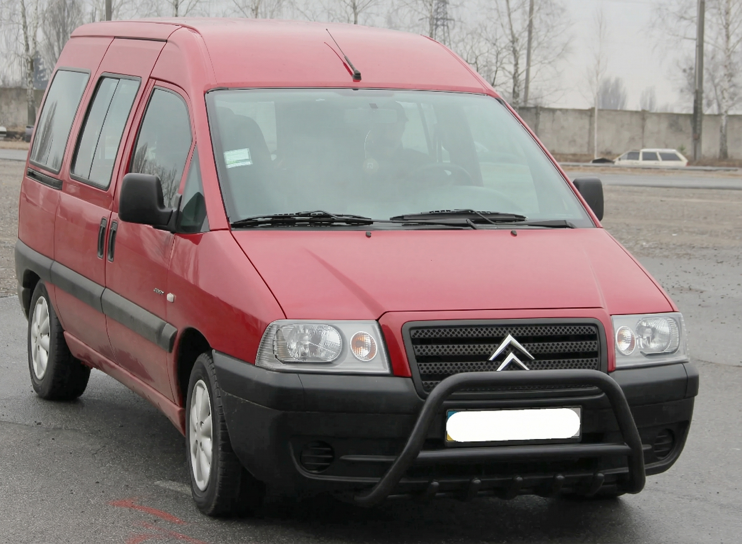 Кенгурятник WT003 Black (нерж)