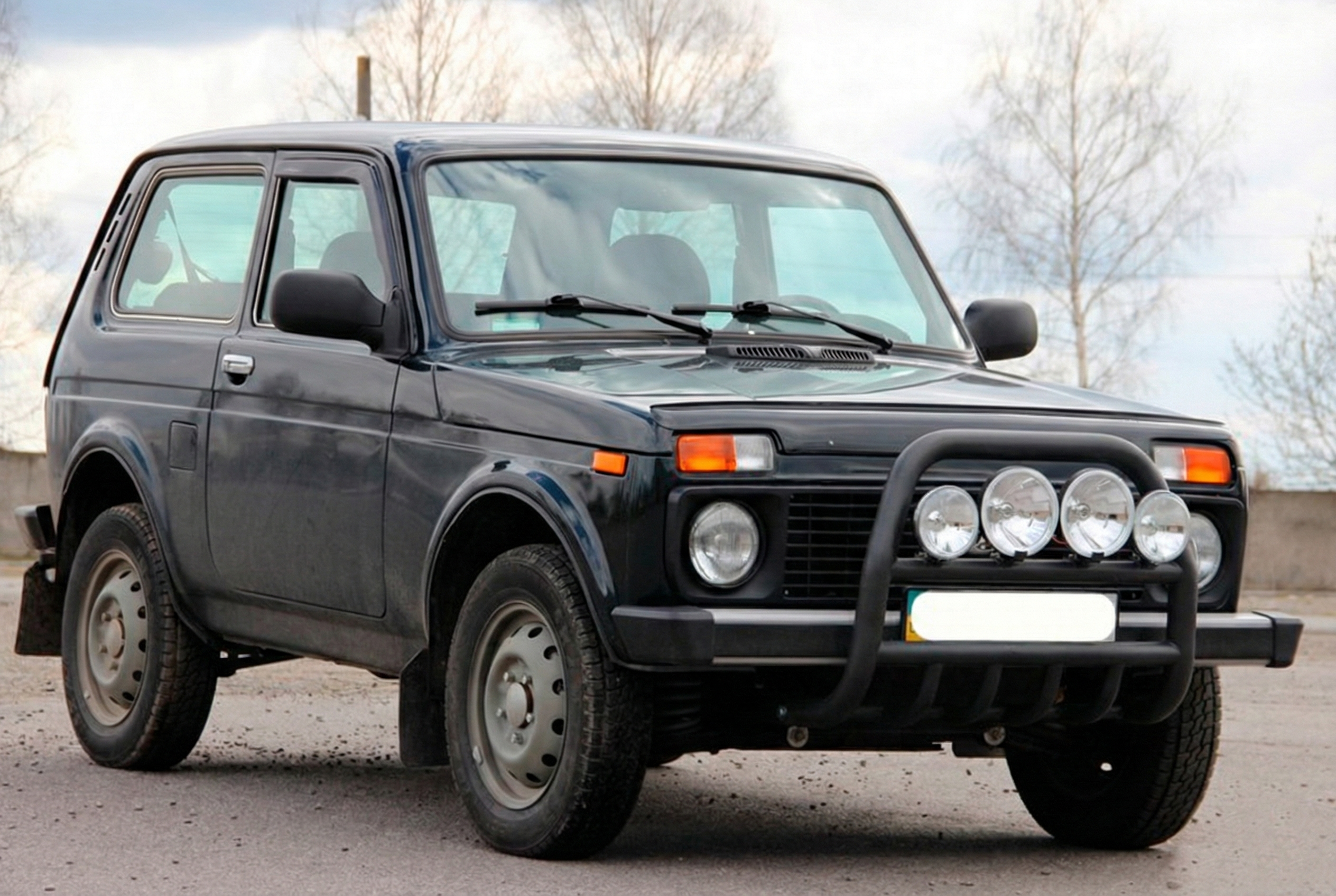 Кенгурятник QT007 Black (нерж.) 3