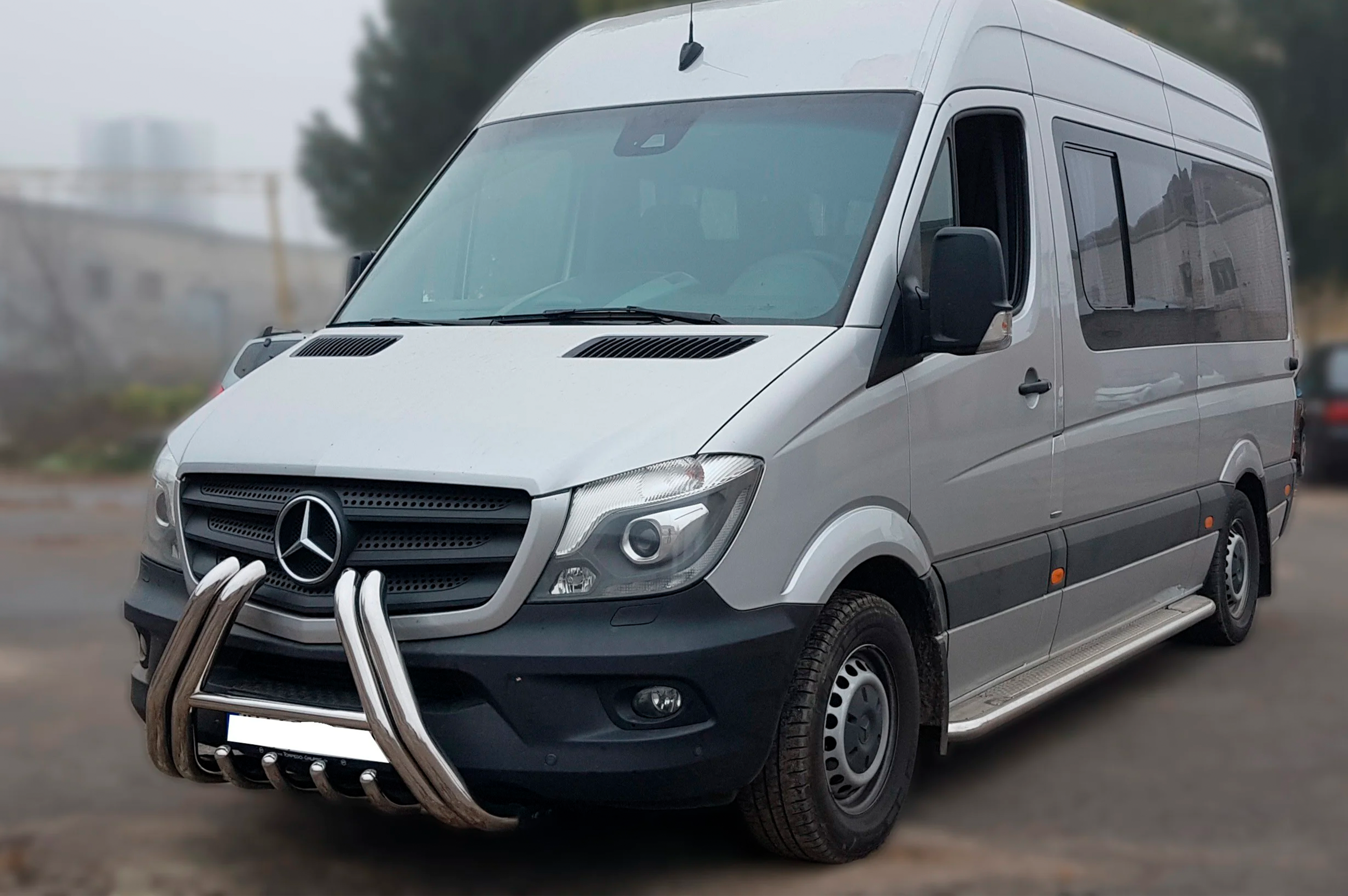 Кенгурятник F1-01 (2013-2018, нерж.) 3