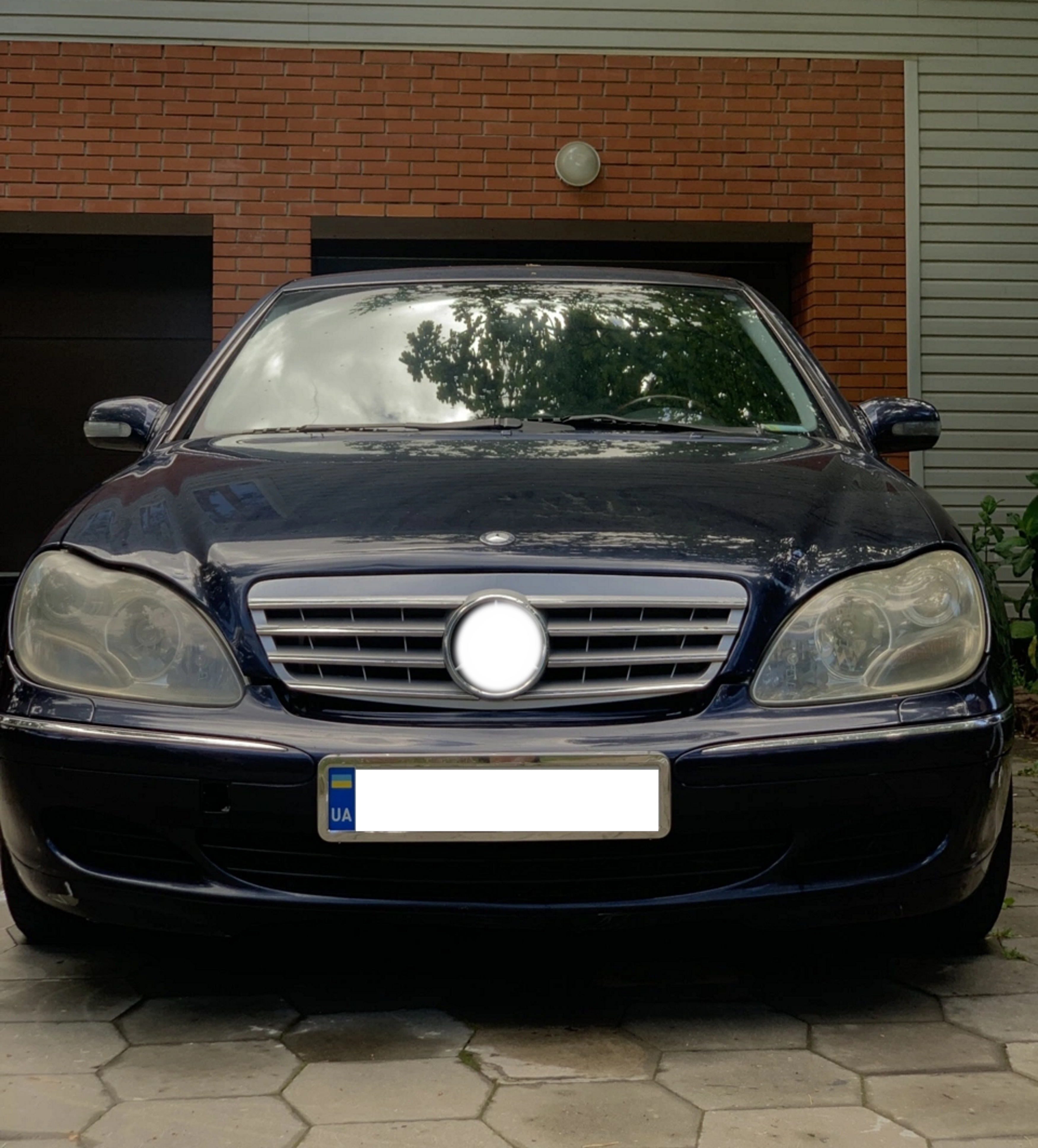 Решітка радіатора Silver CL на Mercedes-Benz S-Class W220 1998-2002 року 5