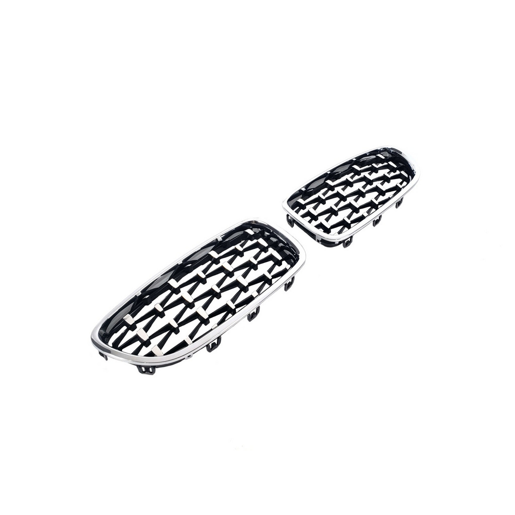 Ніздрі Diamond Silver (хром окантовка) 3