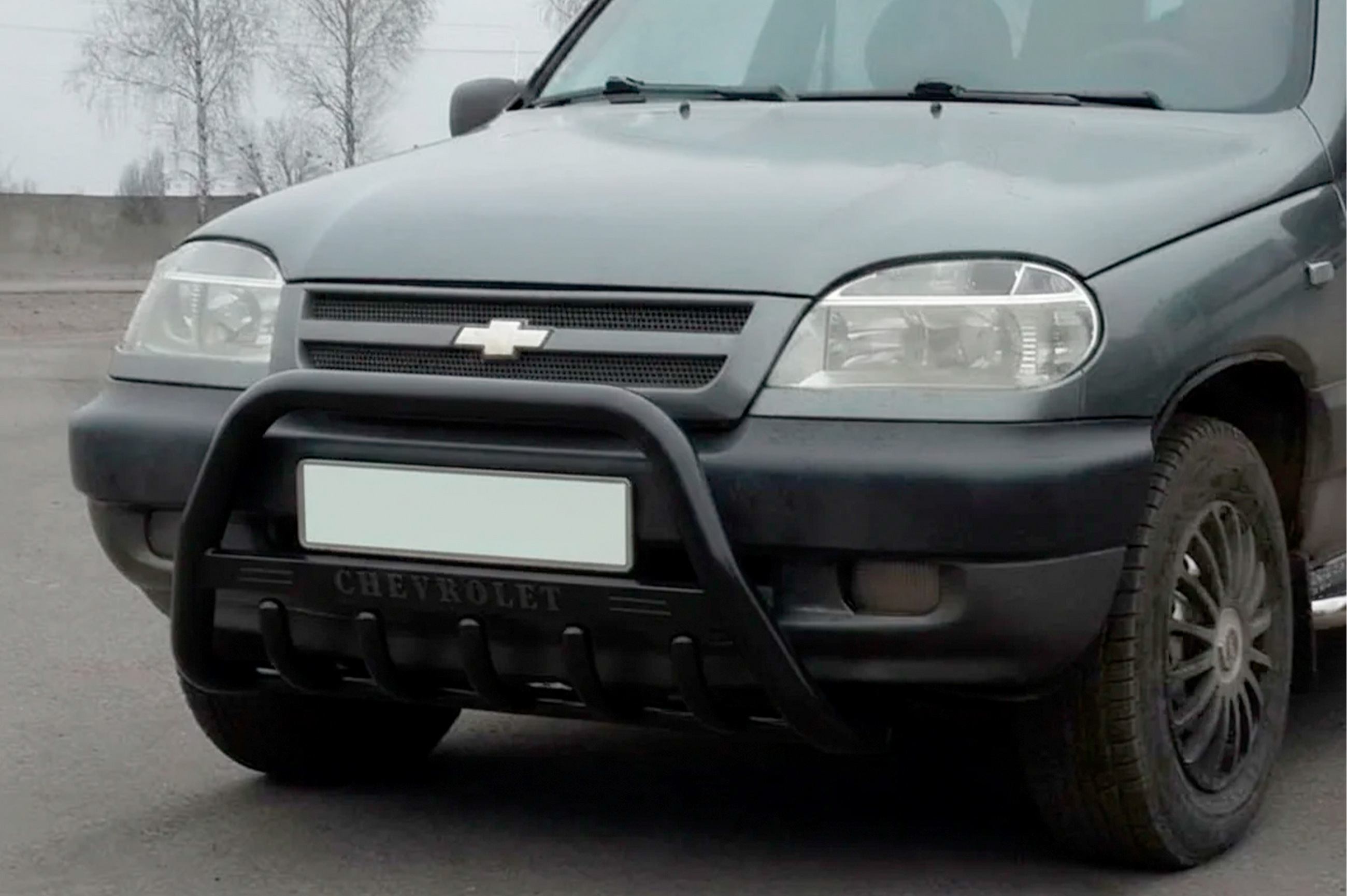 Кенгурятник WT004 Black (нерж)