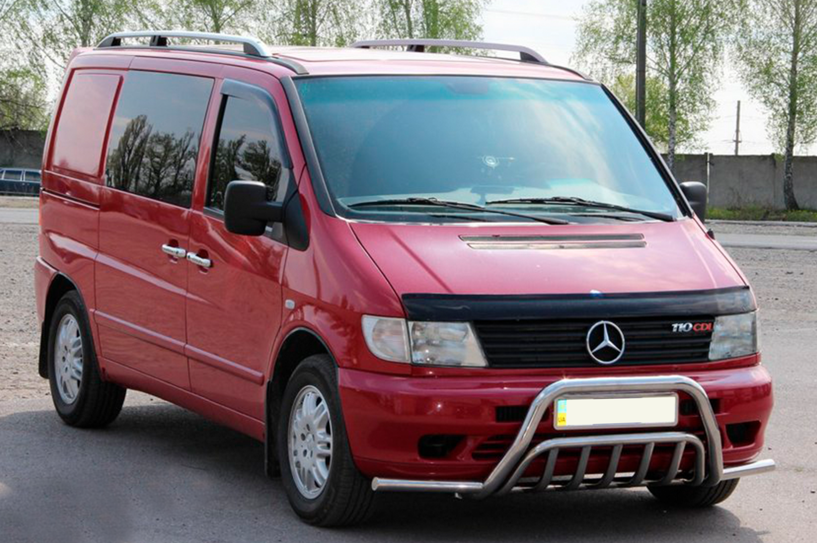 Кенгурятник із вусами WT002 Plus (нерж.)