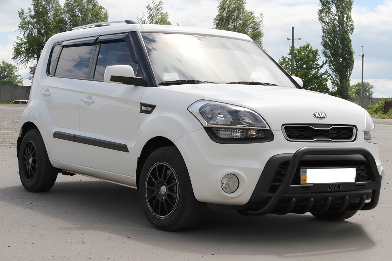 Кенгурятник WT004 Black (нерж) 2