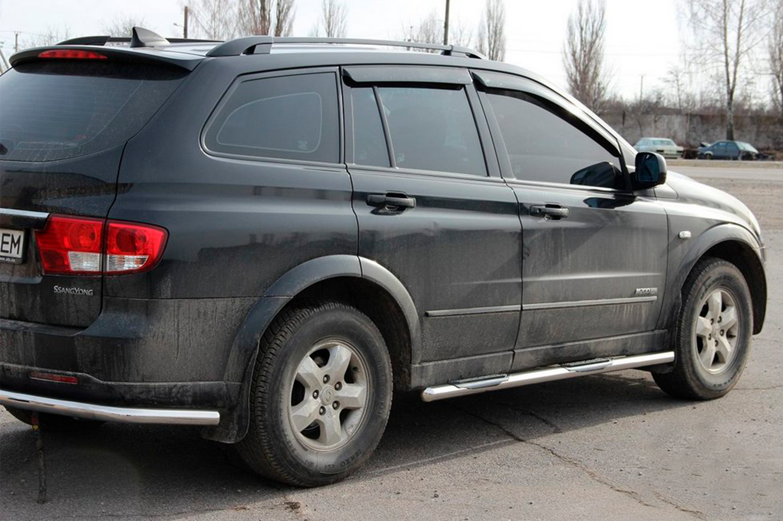 Бічні труби BB002 (2 шт., нерж.) 2
