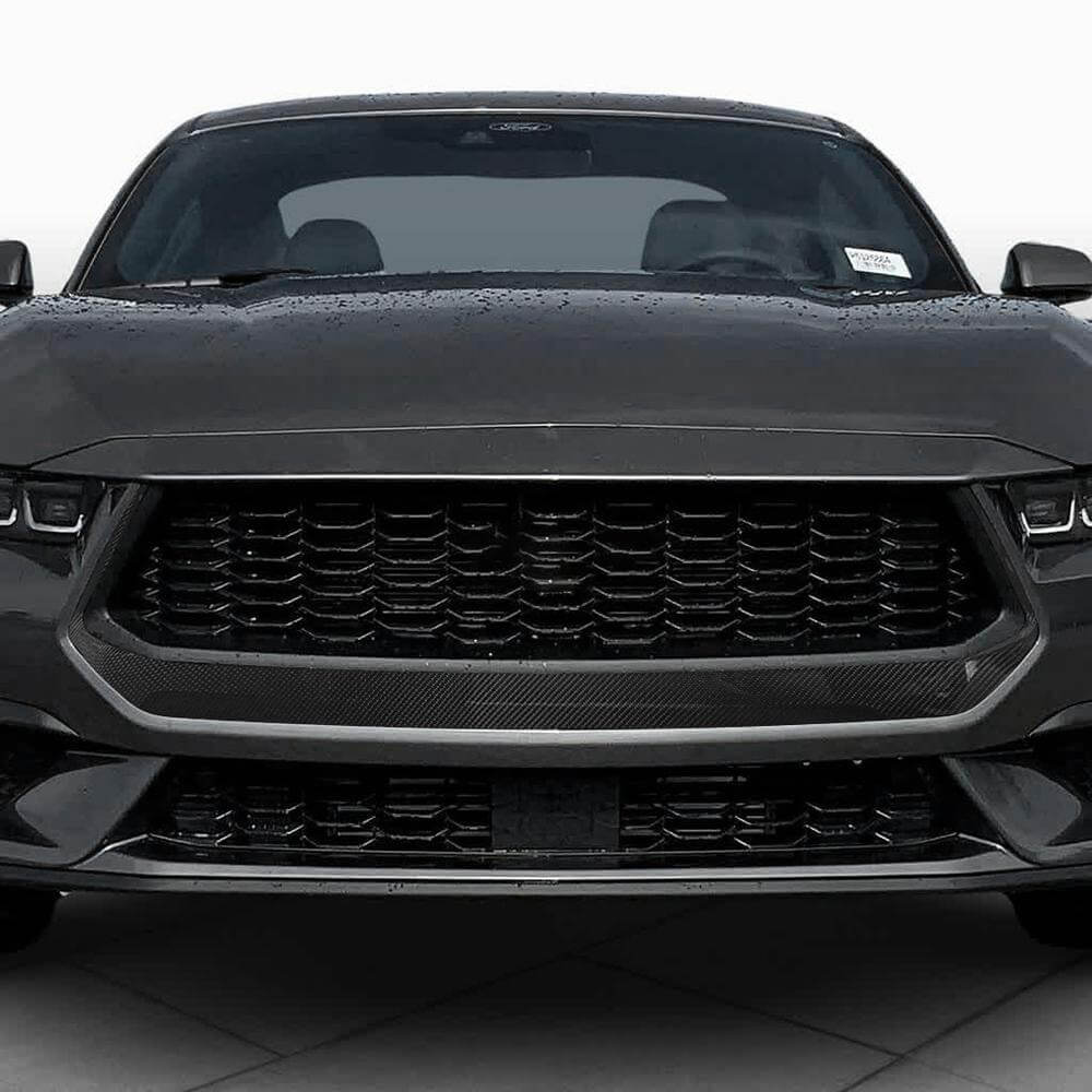 Решітка радіатора (для S650, Карбон) 2