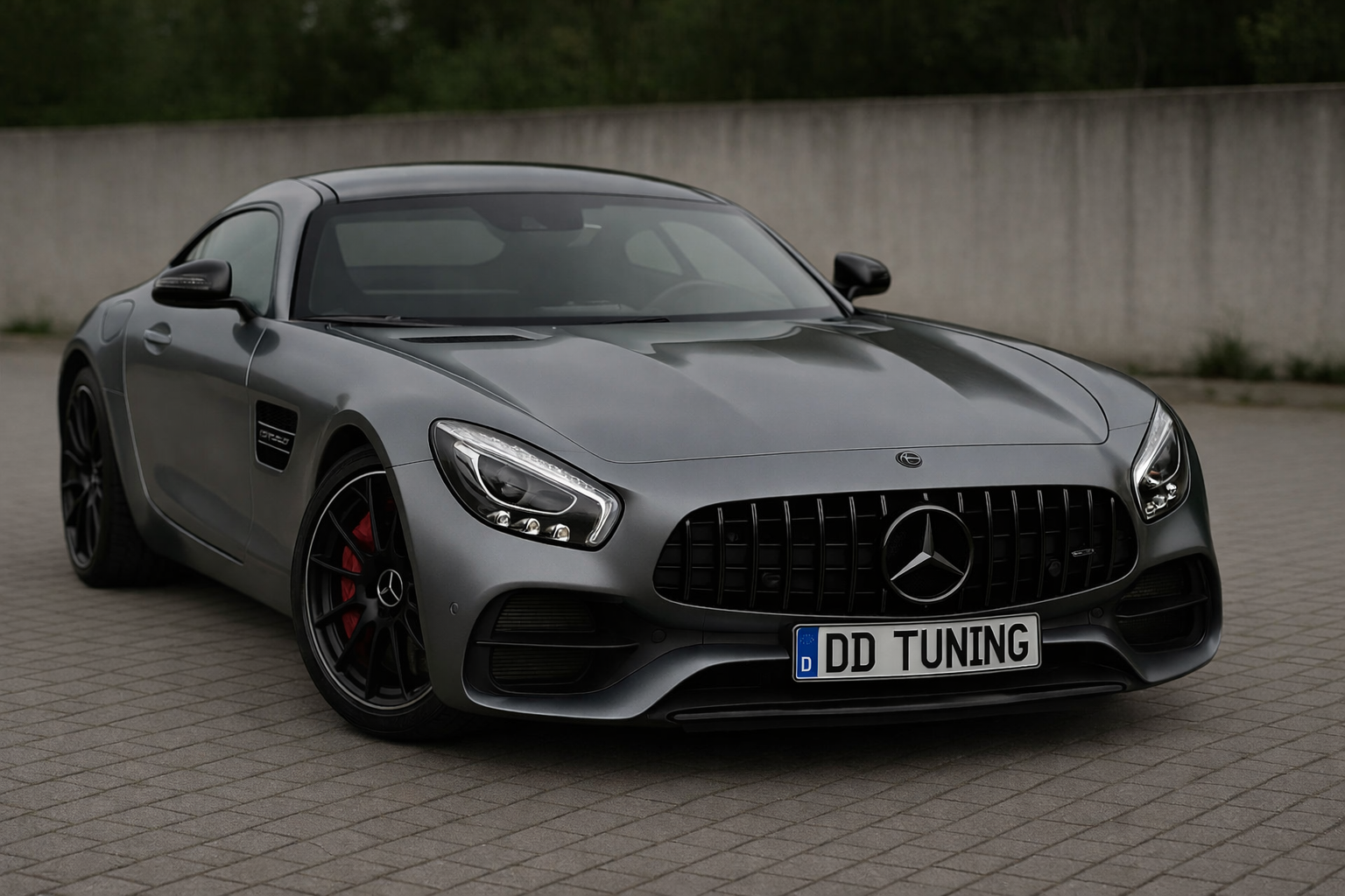 Передня решітка GT Panamericana Black (2014-2017)