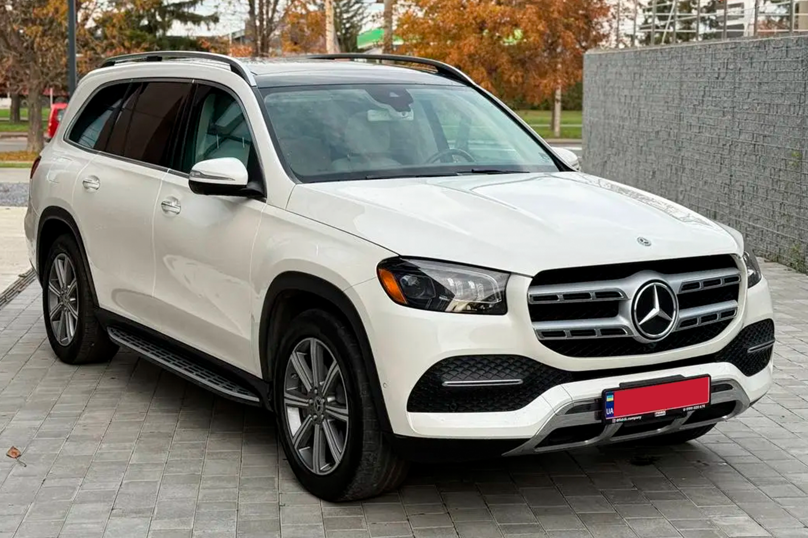 Бокові пороги (2 шт, OEM) 4