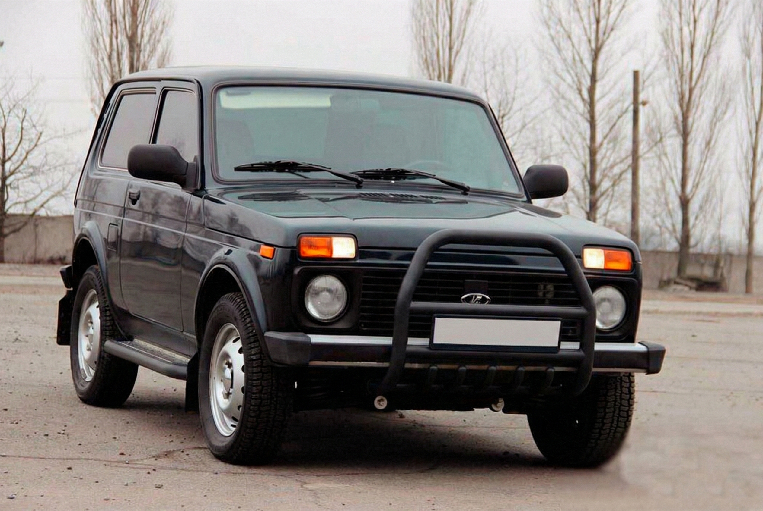Кенгурятник QT007 Black (нерж.) 5