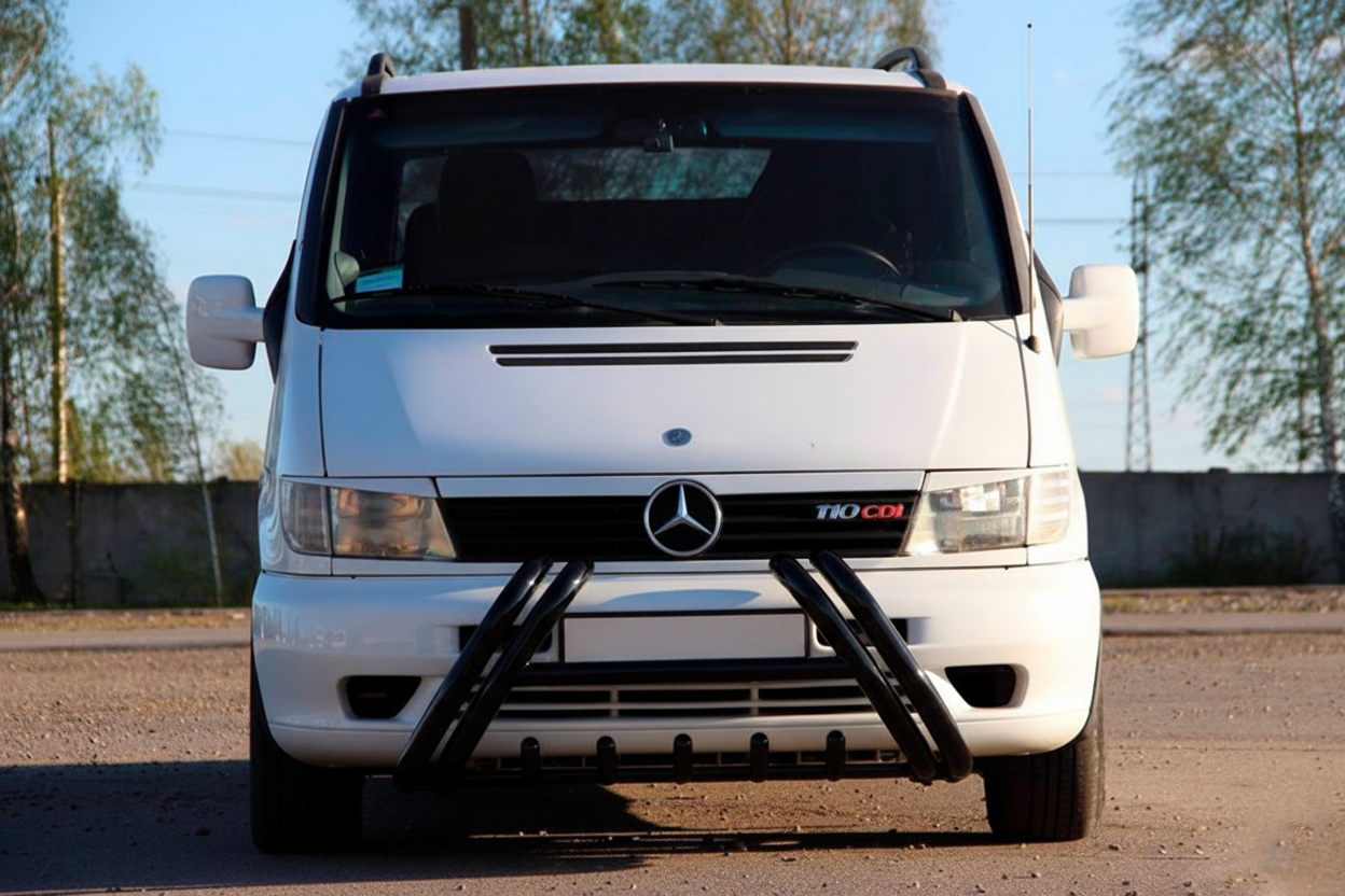 Кенгурятник Kelebek WT011 Black (нерж.) 3