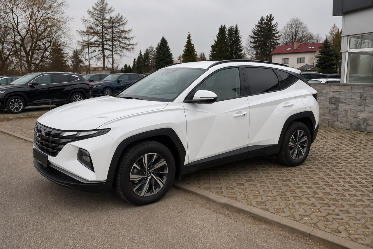 Інтегровані рейлінги чорні OEM (Long, Алюміній, установка на клей) 2