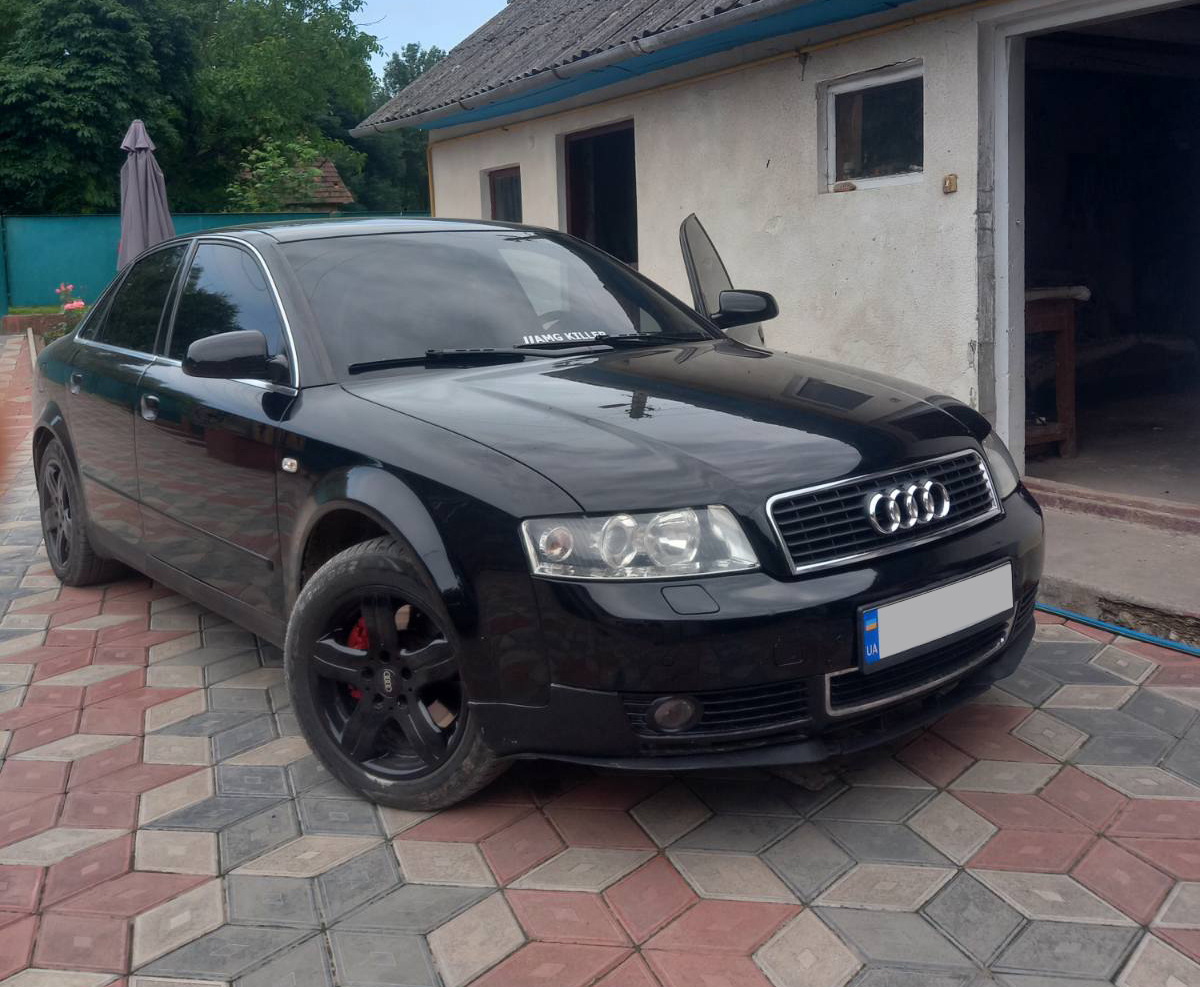 Універсальна передня лип накладка OmsaLine (ABS) 4