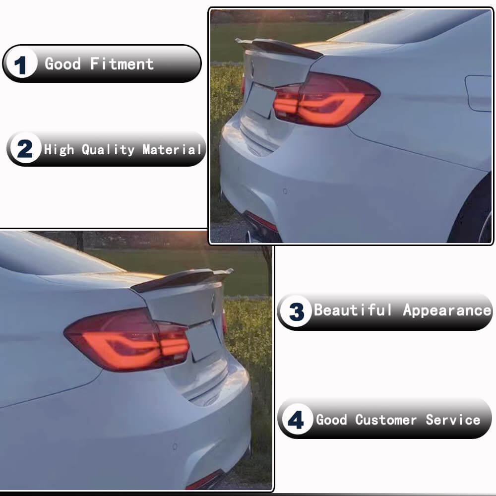 Спойлер PSM-Style V2 (для F30/F80, Карбон) 3
