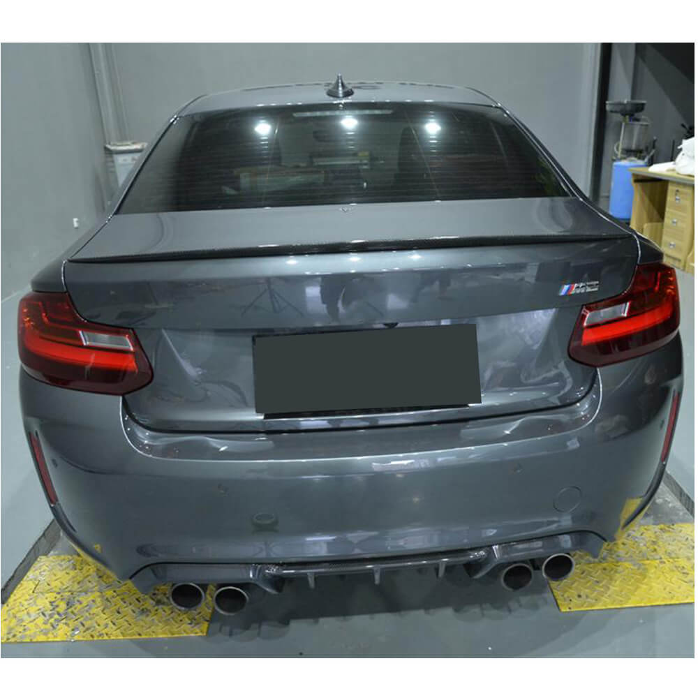 Спойлер M2-Style (для F22, Карбон) 4